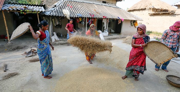 THE NUTRITION PROJECT